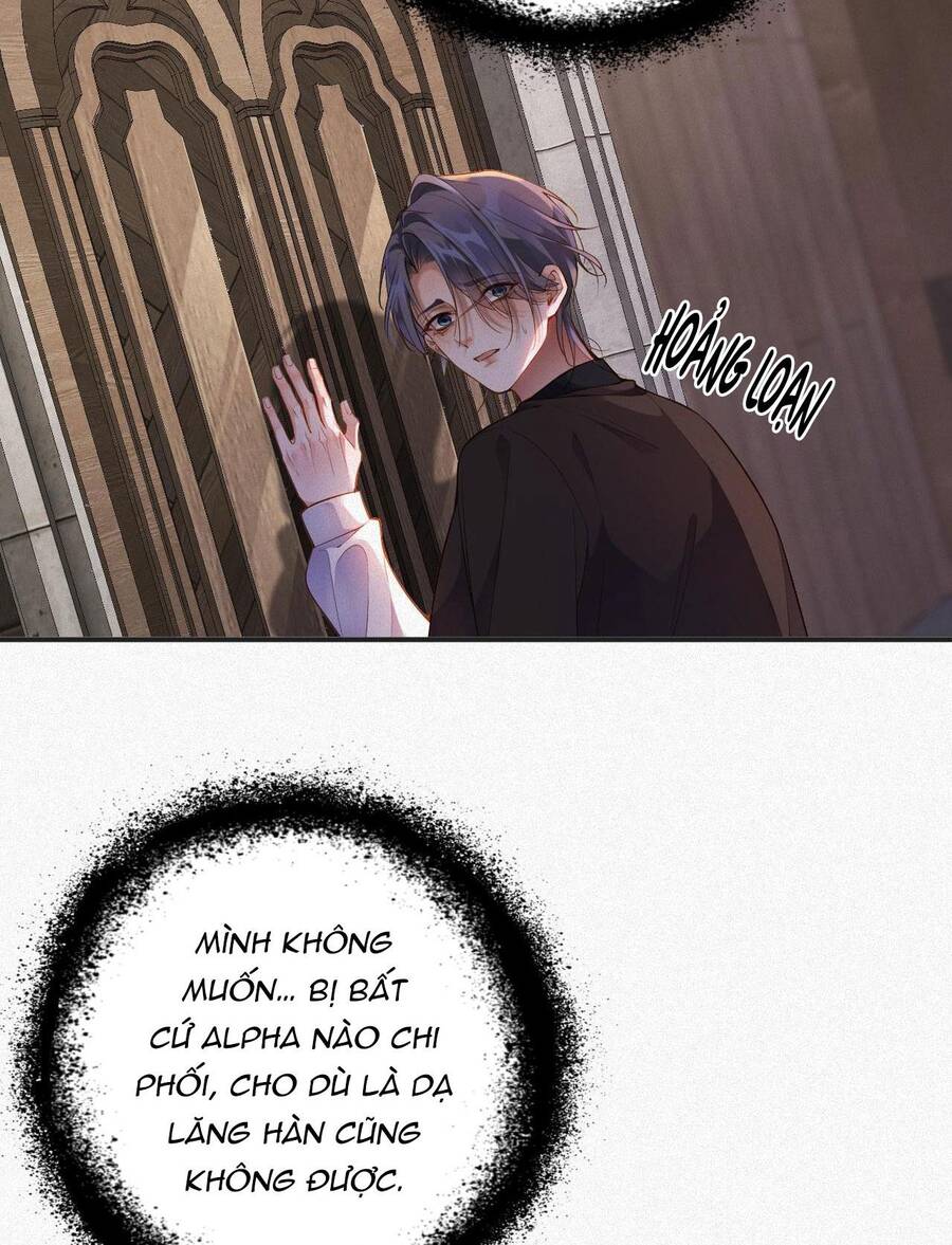 Chồng Cũ Muốn Tái Hôn Lần Nữa Chapter 12 - 24