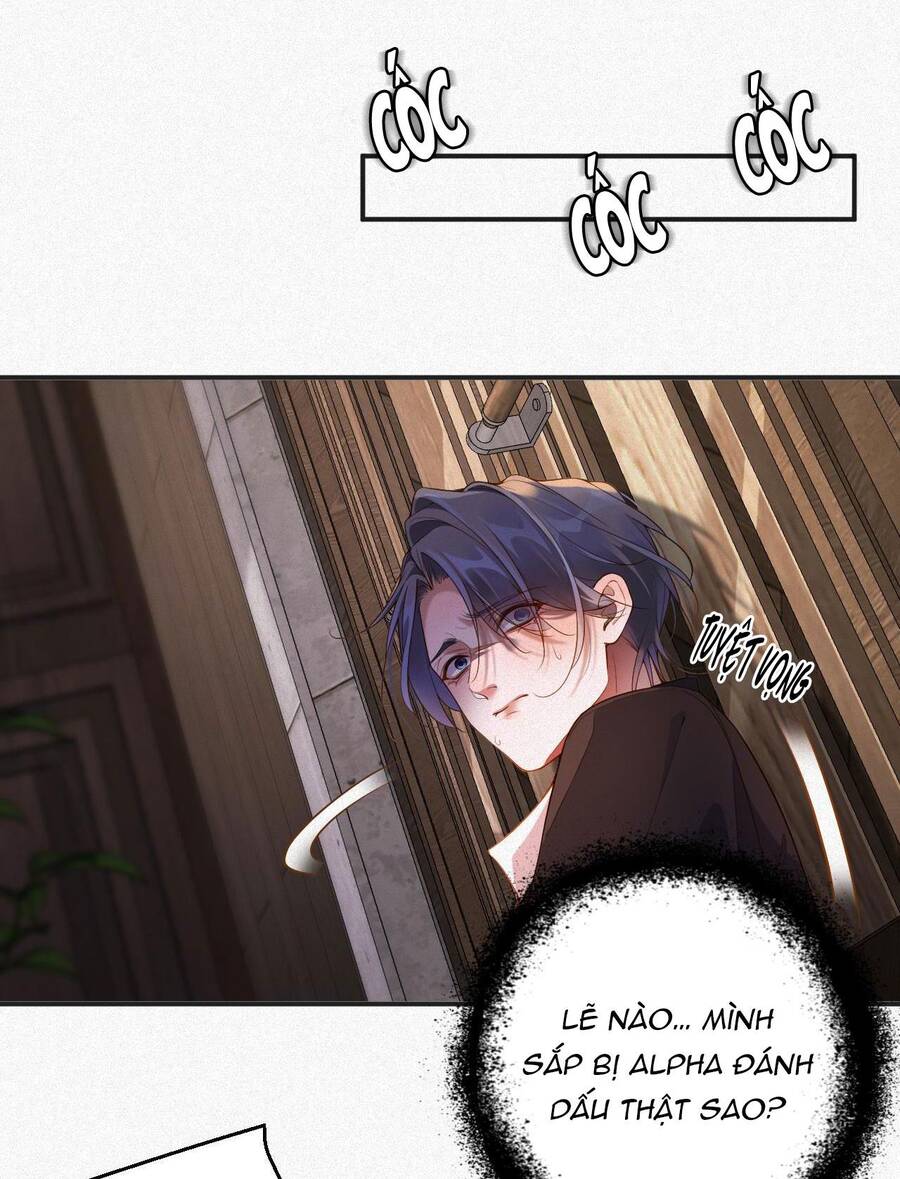 Chồng Cũ Muốn Tái Hôn Lần Nữa Chapter 12 - 28