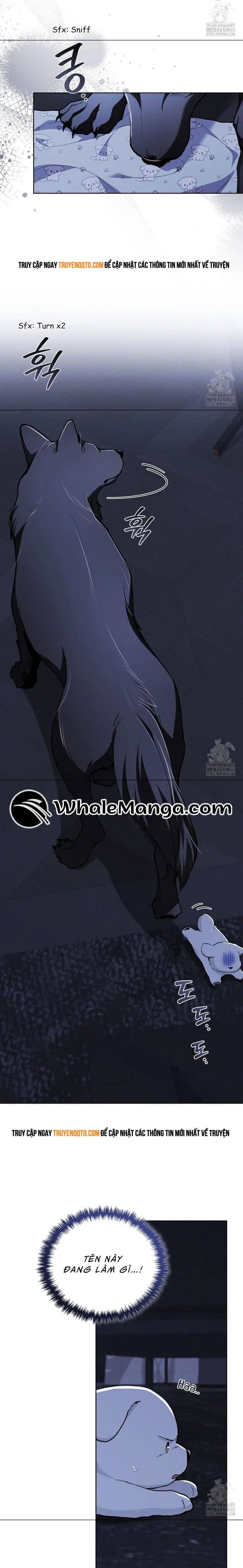 Đừng Đùa Với Cún Con Chapter 19 - 10