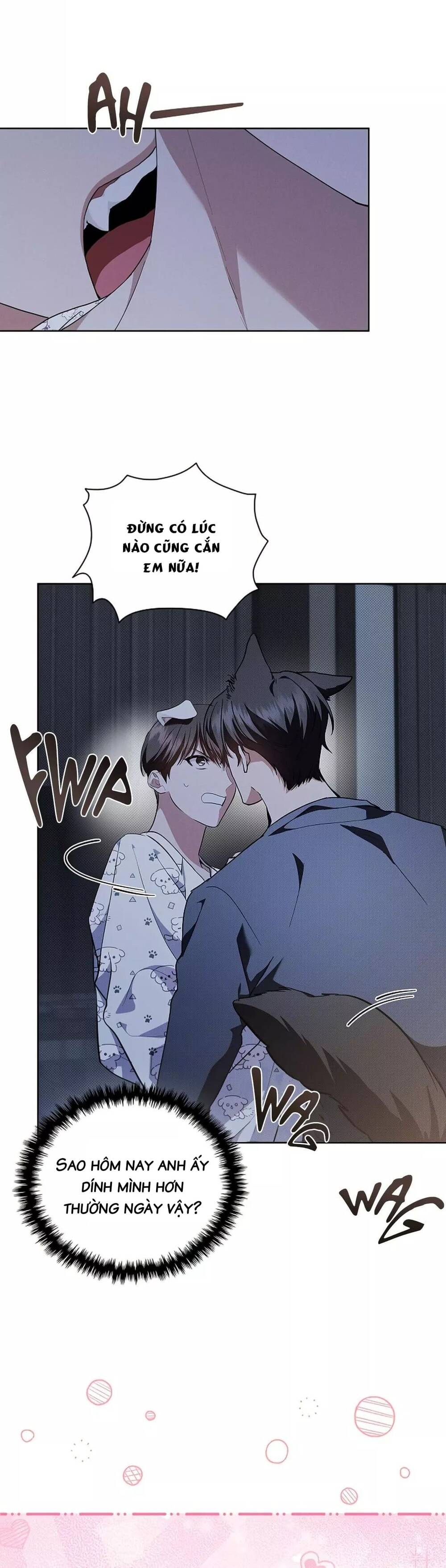 Đừng Đùa Với Cún Con Chapter 18 - 53