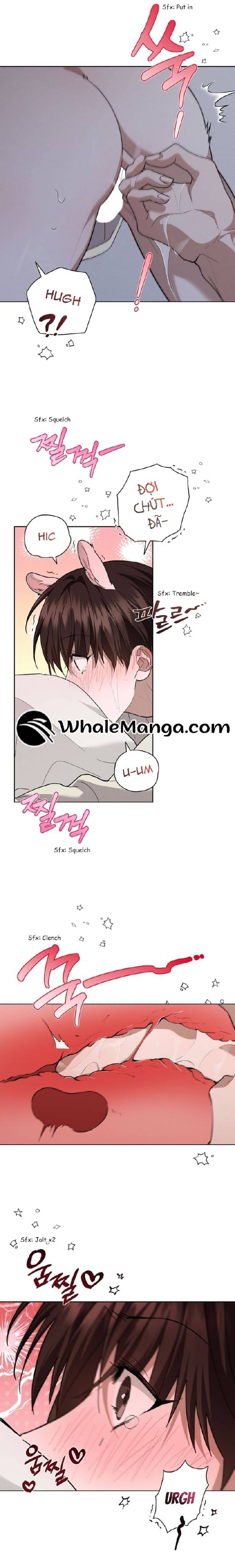 Đừng Đùa Với Cún Con Chapter 25 - 12