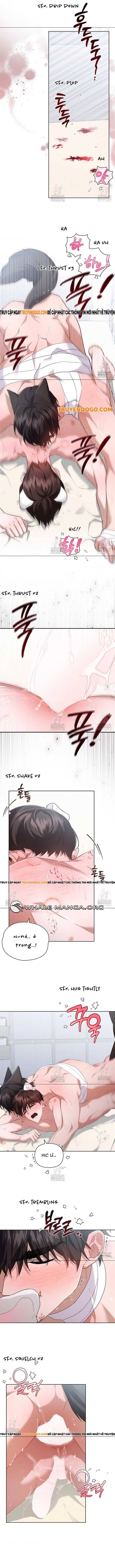 Đừng Đùa Với Cún Con Chapter 42 - 8