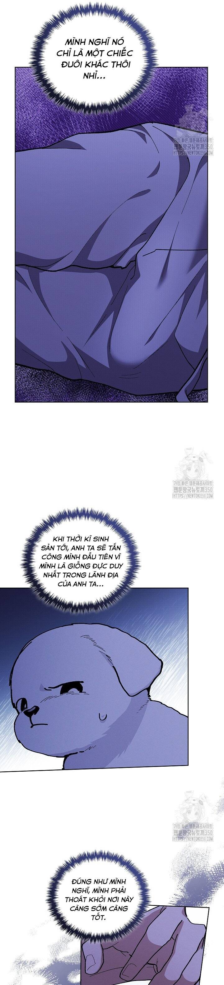 Đừng Đùa Với Cún Con Chapter 7 - 26