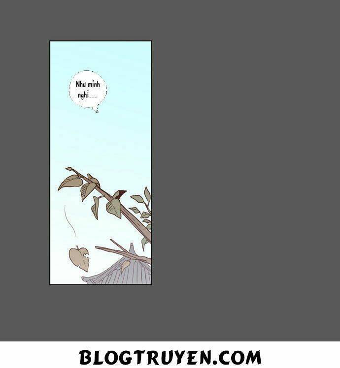 Trăng Lên Ban Ngày Chapter 81 - 4