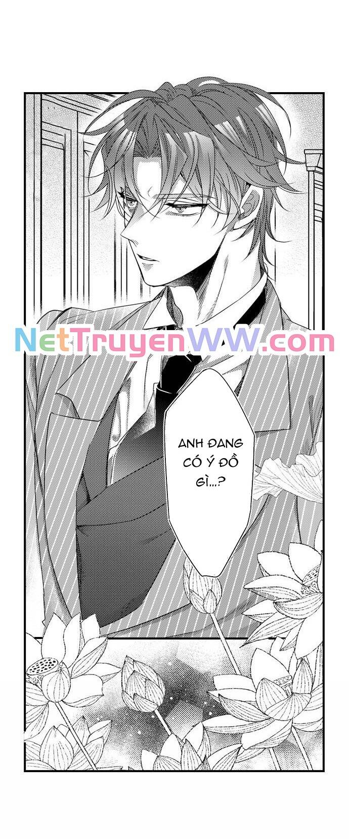 Ván Cược Tình Ái Chapter 25 - 3