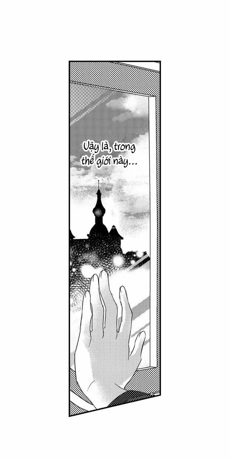 Ván Cược Tình Ái Chapter 3 - 13