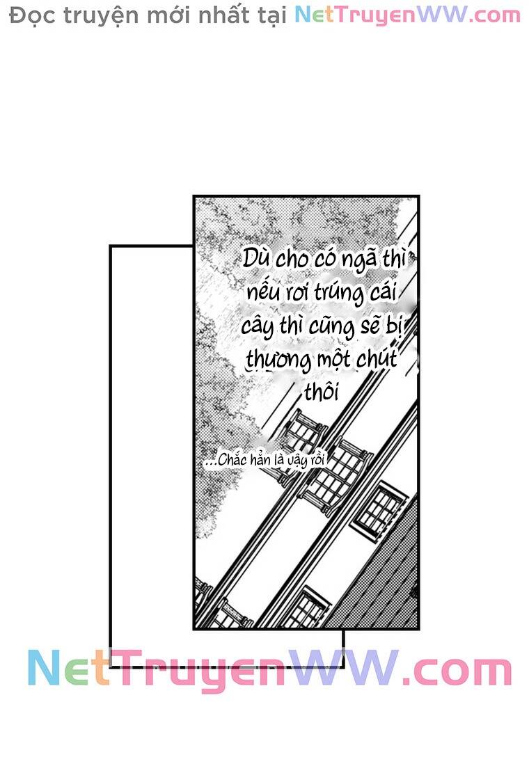 Ván Cược Tình Ái Chapter 5 - 22