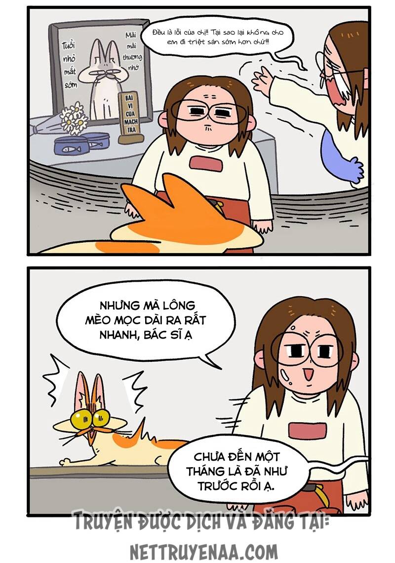 A Mãn Và Mạch Trà Chapter 13.1 - 4