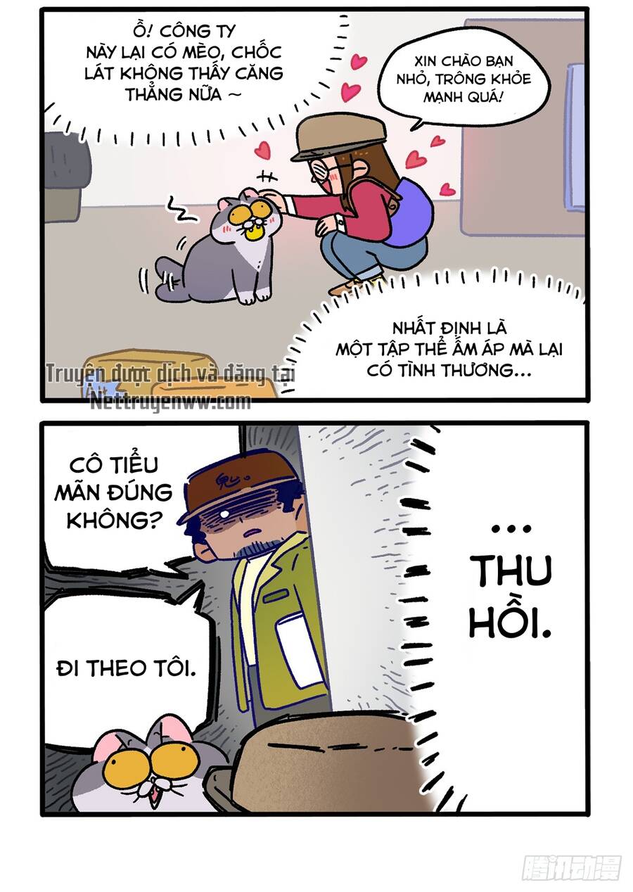 A Mãn Và Mạch Trà Chapter 146 - 4