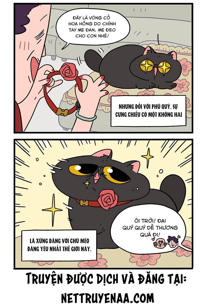 A Mãn Và Mạch Trà Chapter 15 - 4