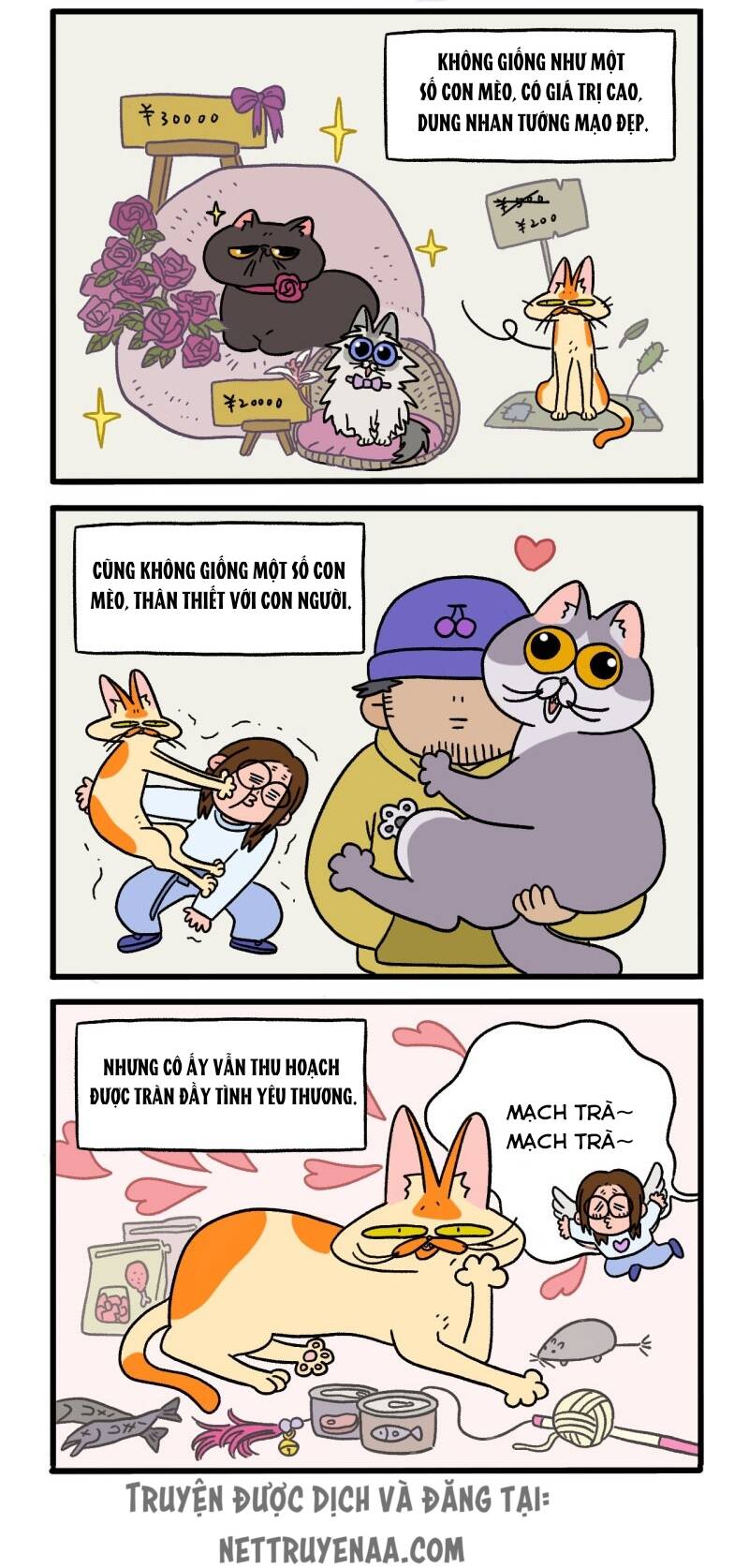 A Mãn Và Mạch Trà Chapter 2 - 2