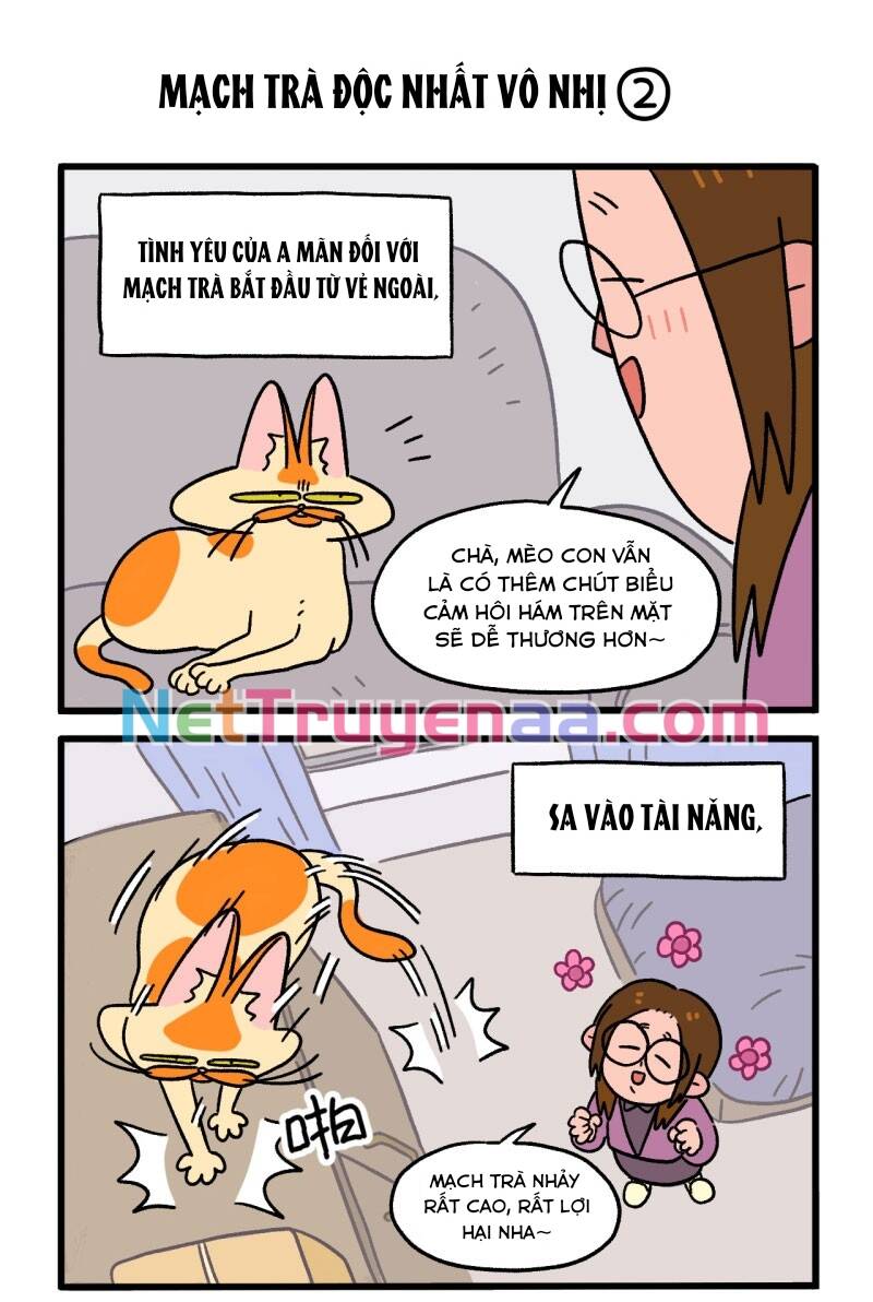 A Mãn Và Mạch Trà Chapter 2 - 3