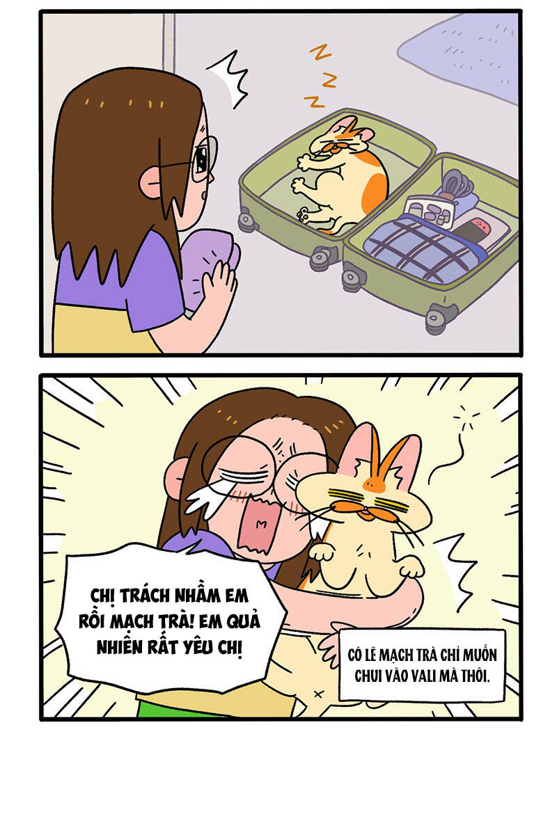 A Mãn Và Mạch Trà Chapter 34 - 4