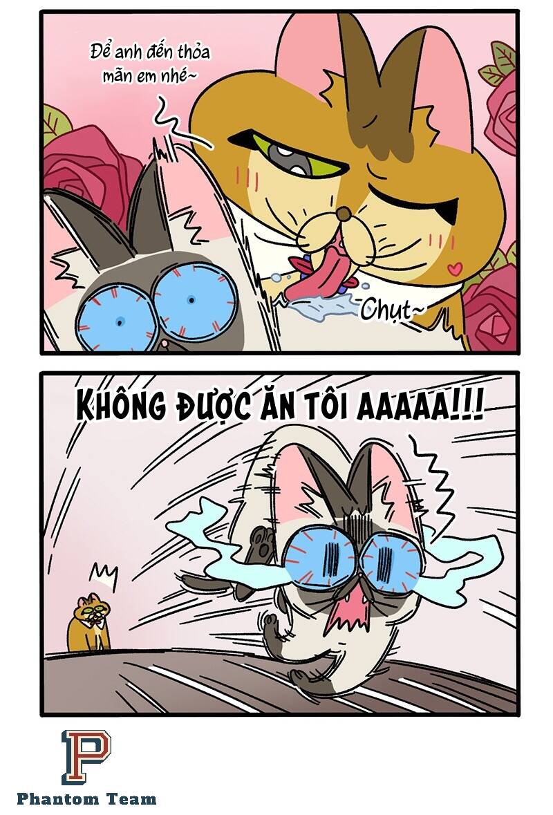A Mãn Và Mạch Trà Chapter 67.1 - 4