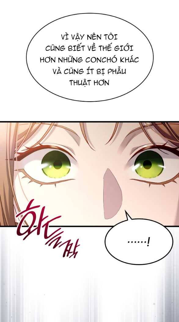 Tôi Sẽ Biến Anh Ta Từ Một Con Chó Điên Thành Một Chàng Quý Tộc Chapter 21.2 - 25