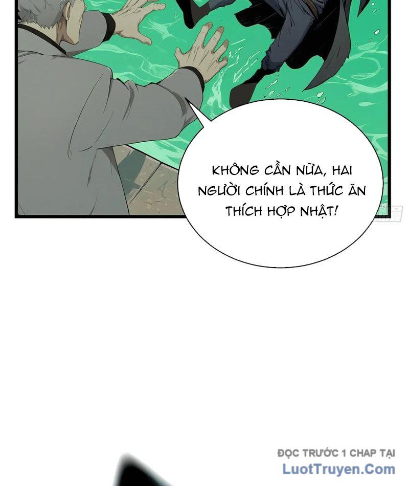 Võ Đạo Tông Sư Trùng Sinh Làm Công Nhân Chapter 38 - 28