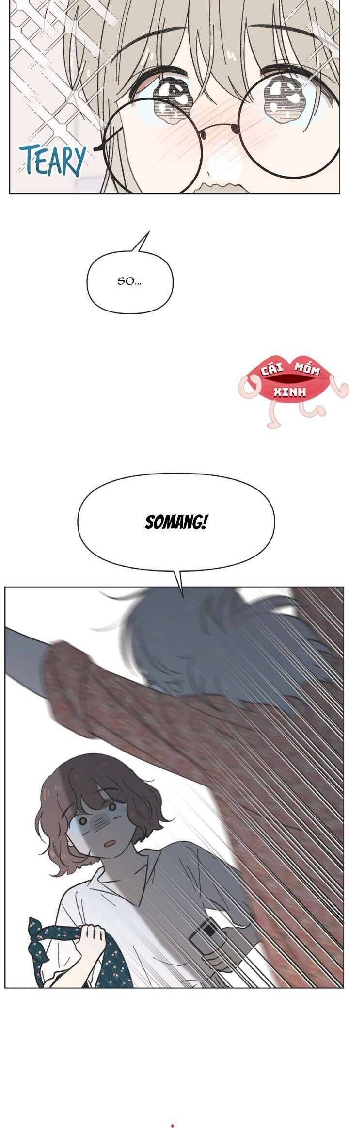 Seasons Of Lovesome Chapter 40 - 21