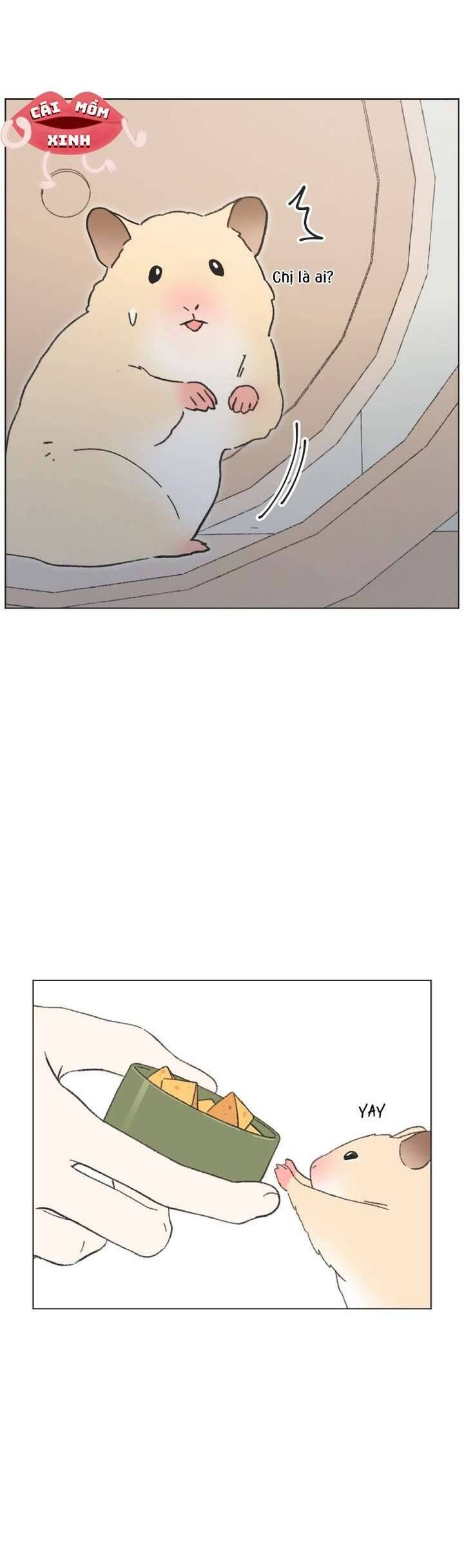 Seasons Of Lovesome Chapter 40 - 5