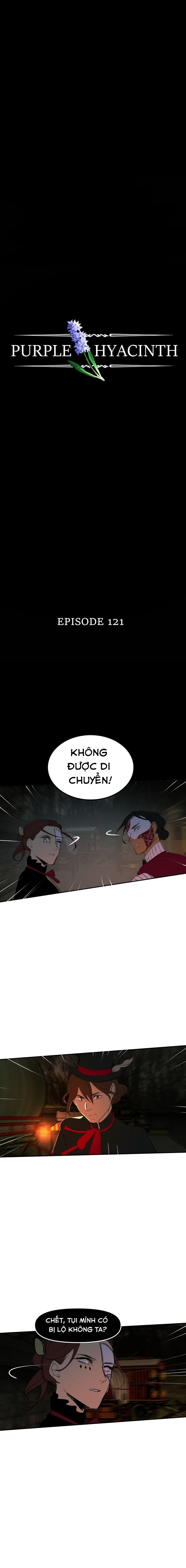 Hoa Lục Bình Tím Chapter 121 - 2