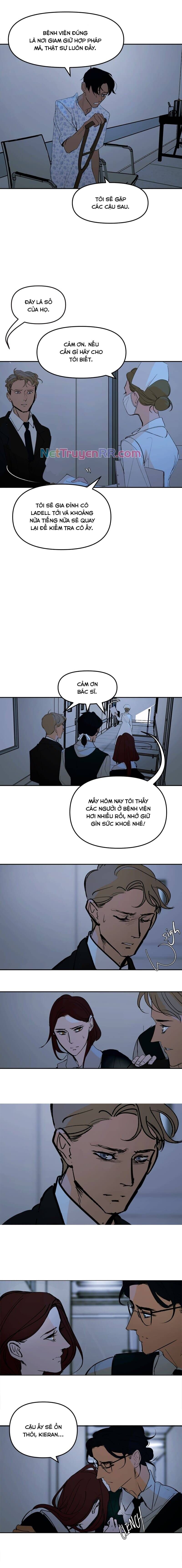 Hoa Lục Bình Tím Chapter 134.1 - 4