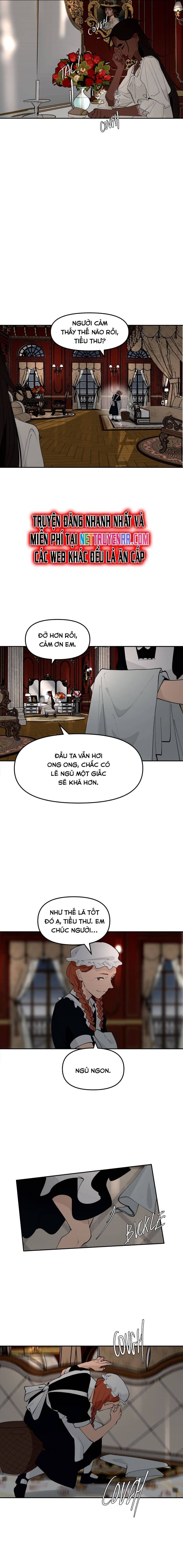 Hoa Lục Bình Tím Chapter 134.2 - 5