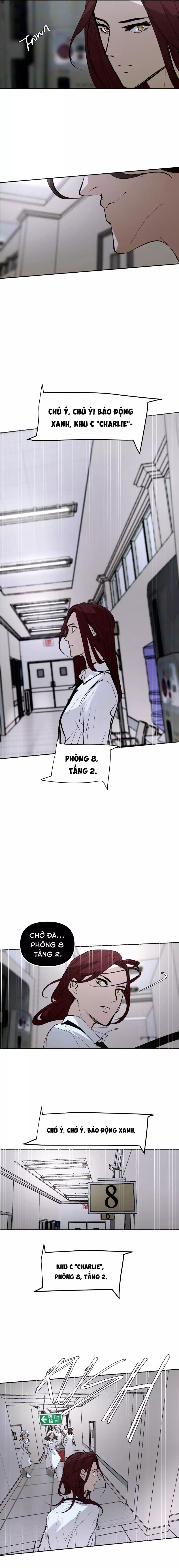 Hoa Lục Bình Tím Chapter 145.4 - 5
