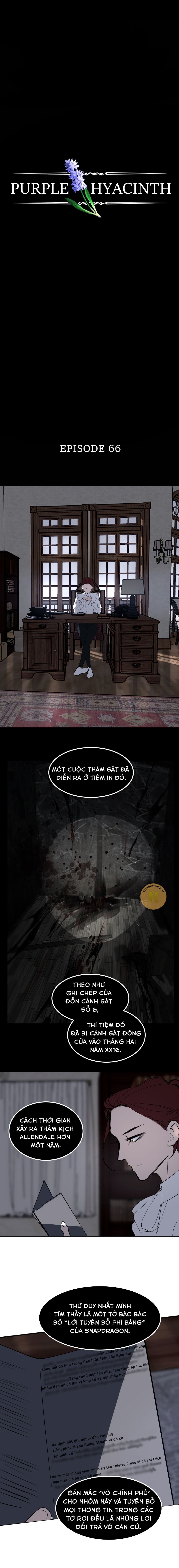 Hoa Lục Bình Tím Chapter 66 - 4