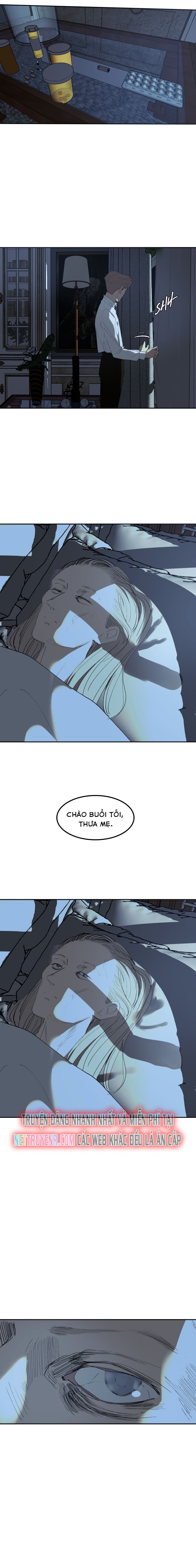 Hoa Lục Bình Tím Chapter 67.1 - 5