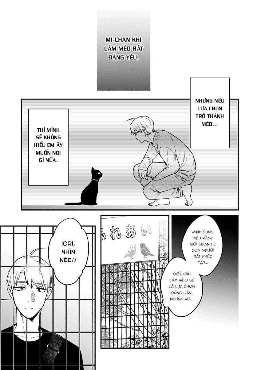 Mii-Chan Muốn Được Nhận Nuôi! Chapter 16 - 20