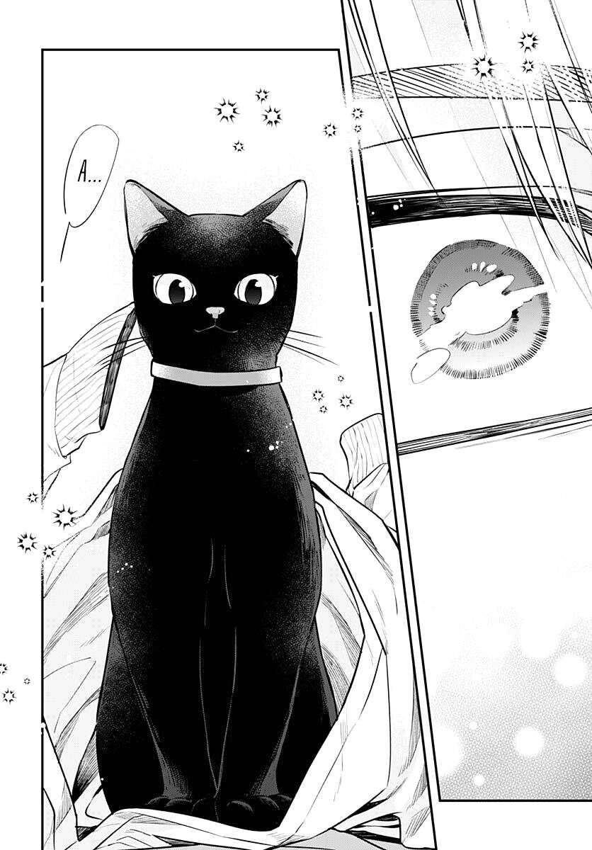 Mii-Chan Muốn Được Nhận Nuôi! Chapter 2 - 29