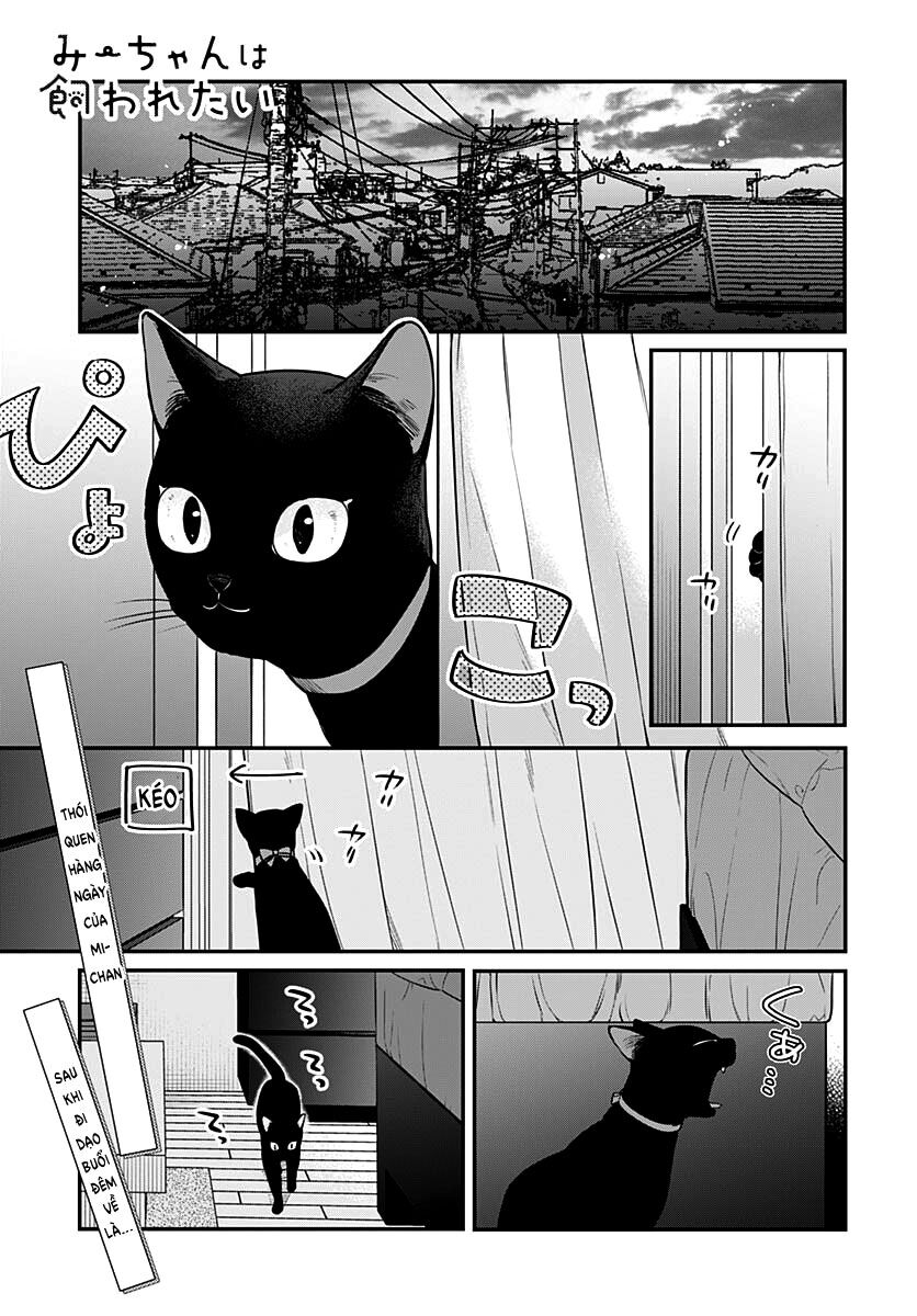 Mii-Chan Muốn Được Nhận Nuôi! Chapter 4 - 3