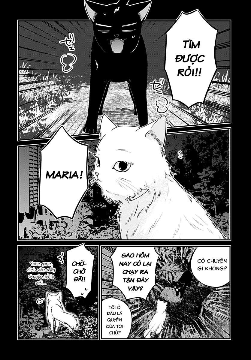 Mii-Chan Muốn Được Nhận Nuôi! Chapter 6 - 14