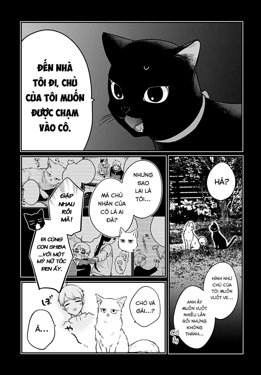 Mii-Chan Muốn Được Nhận Nuôi! Chapter 6 - 15