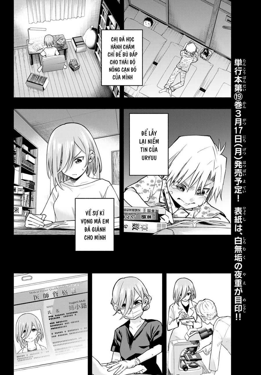 Kết Duyên Nhà Kamigami Chapter 173 - 12