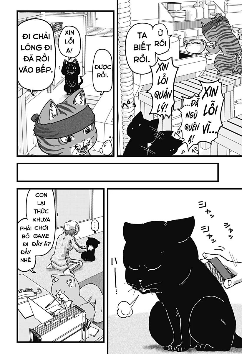 Quán Ramen Mèo Đỏ Chapter 11 - 9