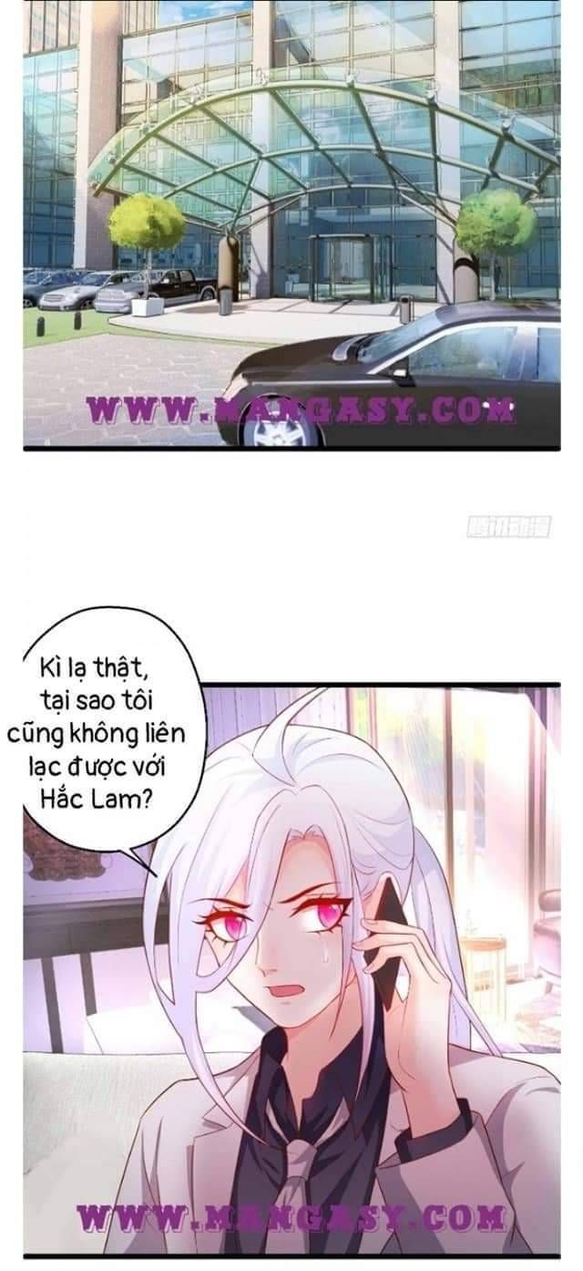 Hắc Đạo Đáng Yêu Chapter 103 - 19