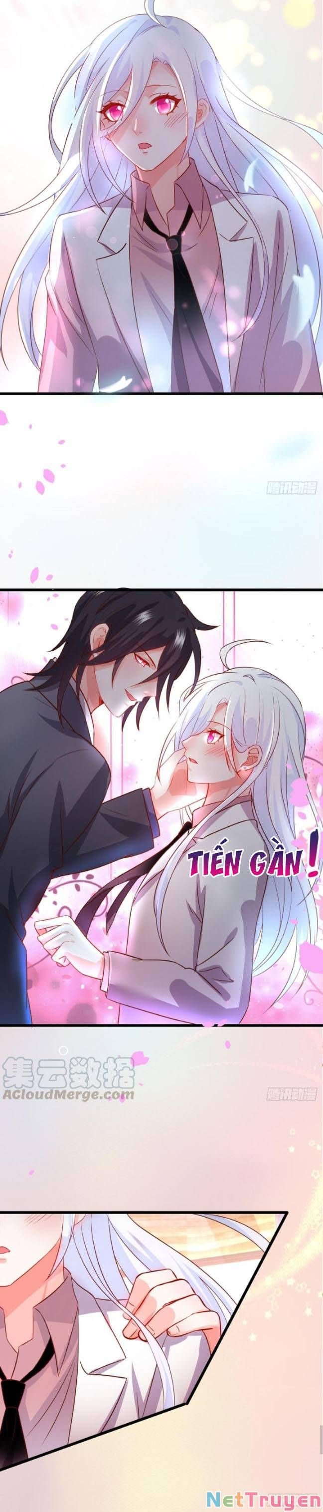 Hắc Đạo Đáng Yêu Chapter 145 - 10