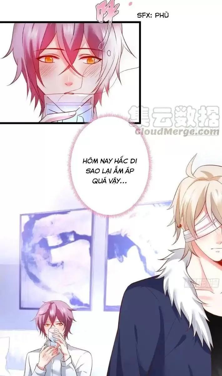 Hắc Đạo Đáng Yêu Chapter 166 - 12