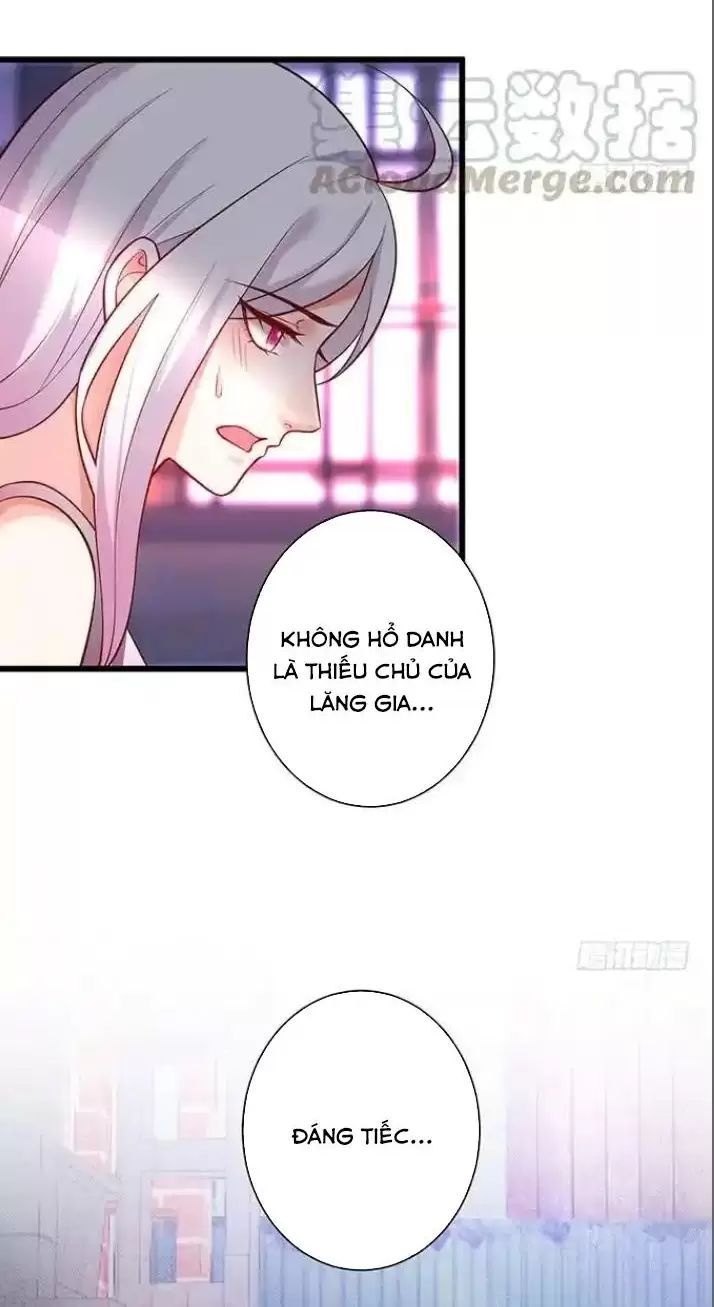 Hắc Đạo Đáng Yêu Chapter 168 - 13