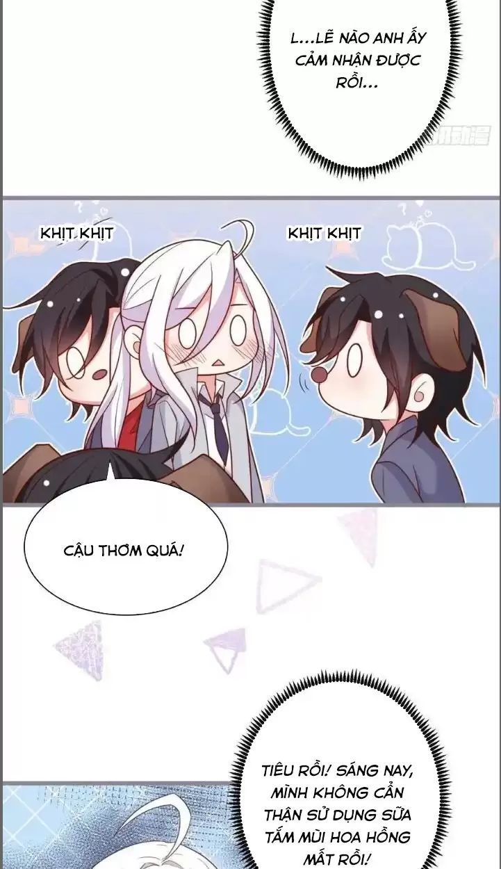 Hắc Đạo Đáng Yêu Chapter 234 - 29