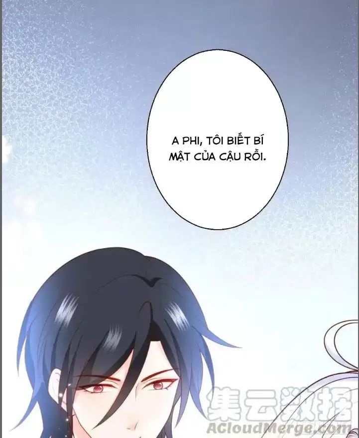 Hắc Đạo Đáng Yêu Chapter 239 - 13