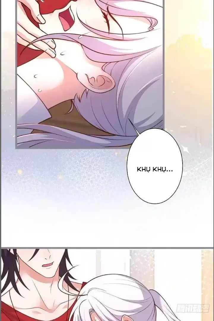 Hắc Đạo Đáng Yêu Chapter 240 - 39
