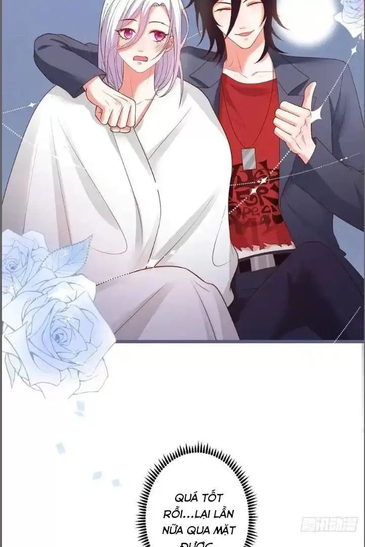 Hắc Đạo Đáng Yêu Chapter 241 - 38