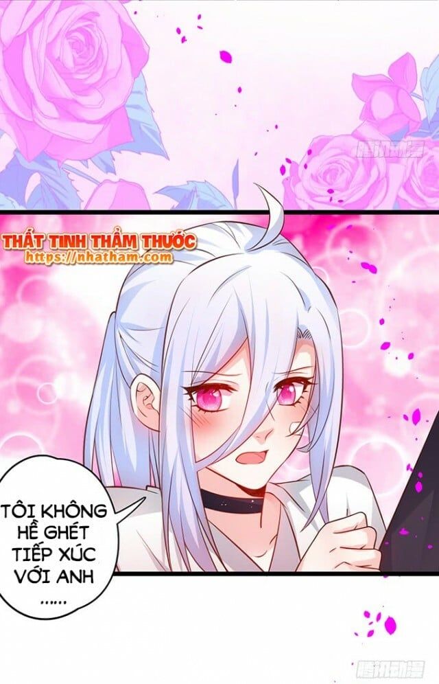 Hắc Đạo Đáng Yêu Chapter 38 - 7