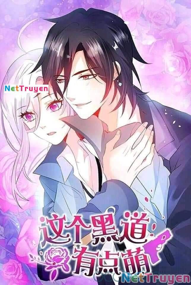Hắc Đạo Đáng Yêu Chapter 50 - 2