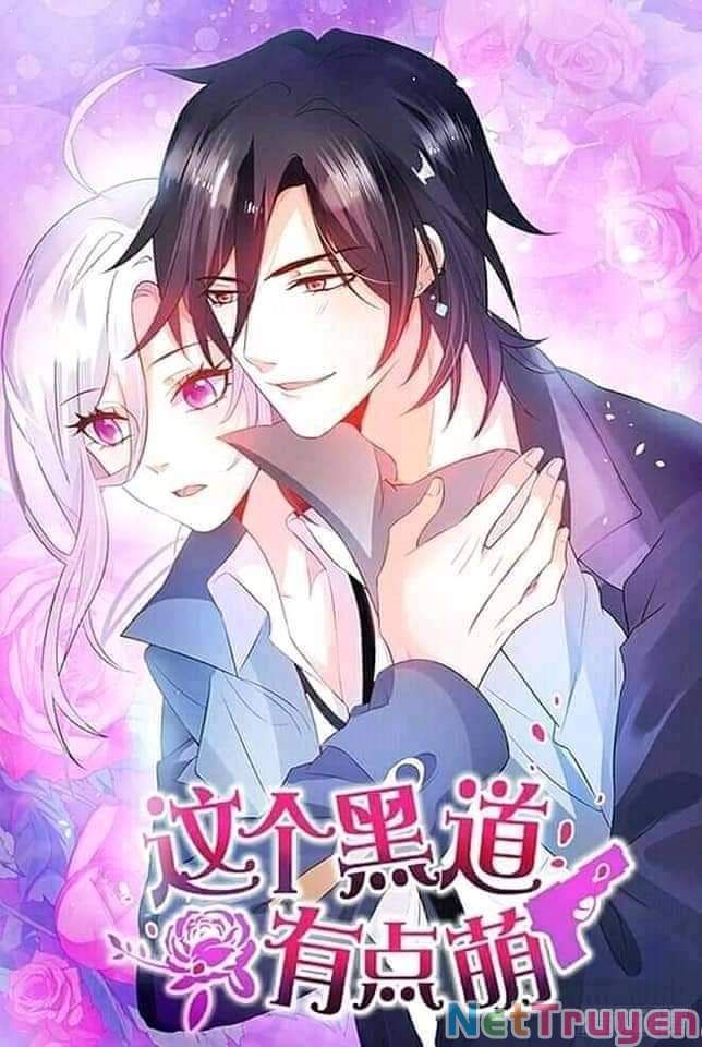 Hắc Đạo Đáng Yêu Chapter 56 - 2
