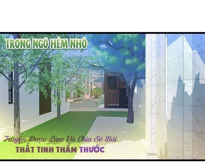 Hắc Đạo Đáng Yêu Chapter 6 - 4