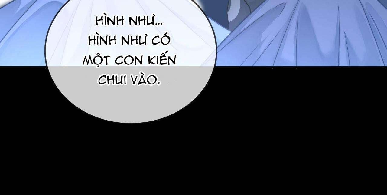 Nam Thần Bá Đạo Cầu Xin Tôi Quay Lại Chapter 49 - 11