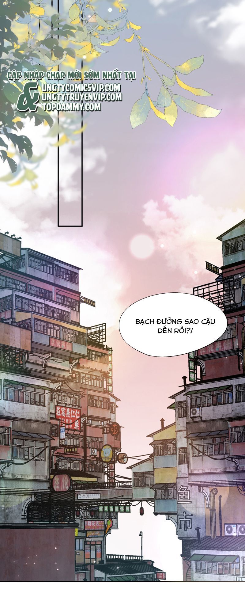 Phương Thức Chính Thức Giải Cứu Tiểu Đáng Thương Chapter 71 - 16