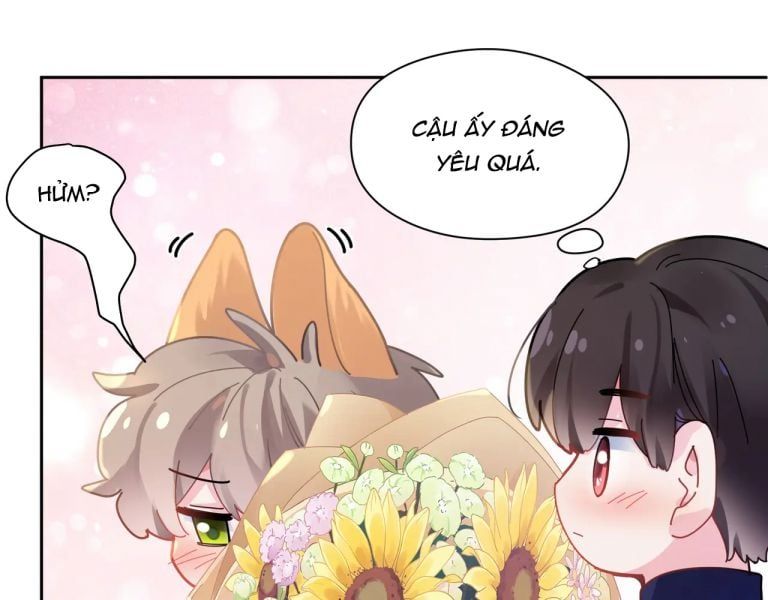 Có Bản Lĩnh Thì Cứ Hung Dữ Đi? Chapter 58 - 64